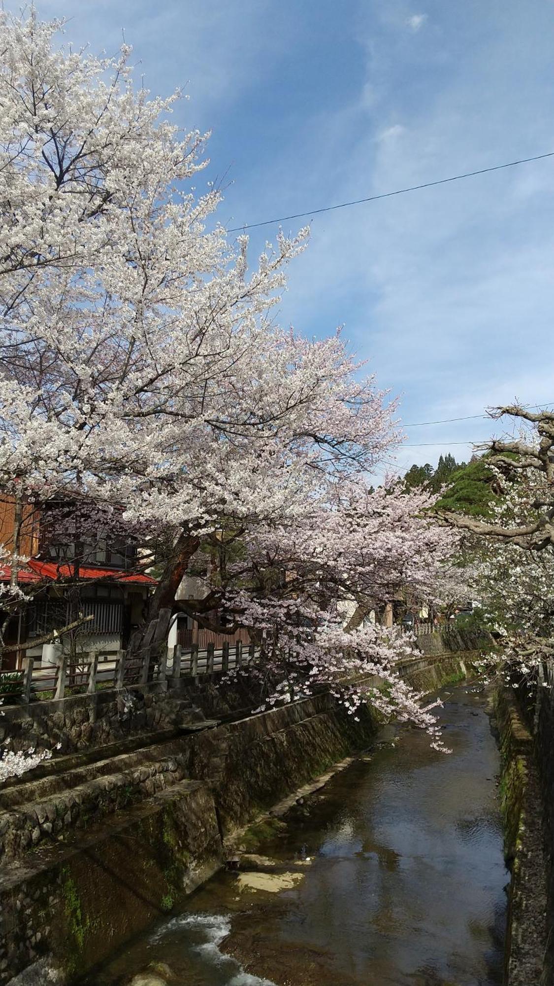 Daihachi Hotel Takayama  Luaran gambar